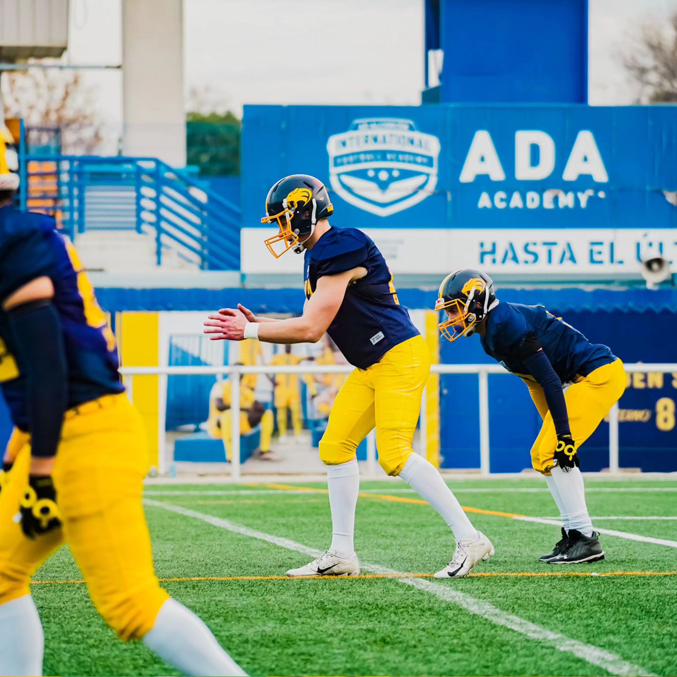 Victoria contundente de Alcorcón Smilodons ante Boadilla Vikings